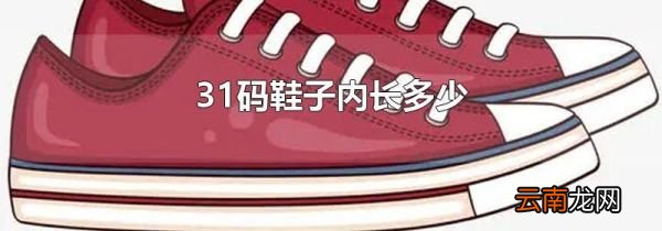 31码鞋子内长多少