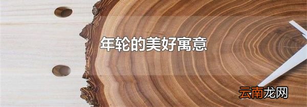 年轮的美好寓意
