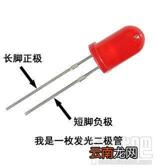 QLED和OLED有什么不一样？QLED和OLED区别对比