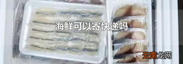 海鲜可以寄快递吗
