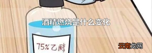 酒精燃烧是什么变化