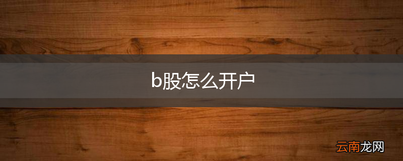 b股怎么开户