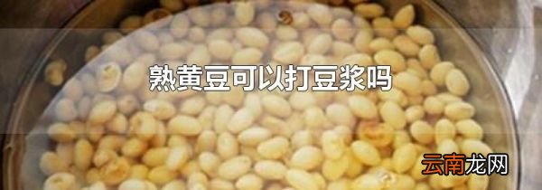 熟黄豆可以打豆浆吗