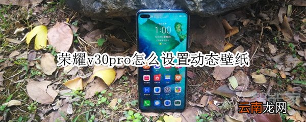 荣耀v30pro怎么设置动态壁纸