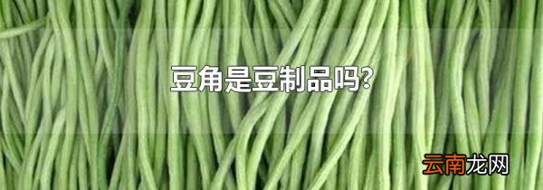 豆角是豆制品吗?