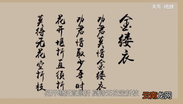 金缕衣的意思 金缕衣原文