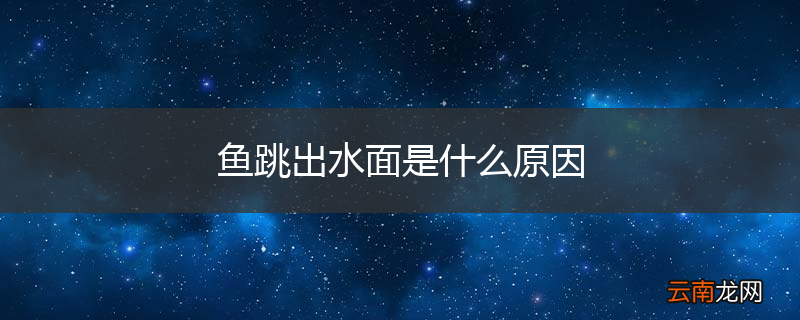 鱼跳出水面是什么原因