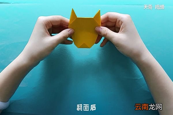 老虎怎么折
