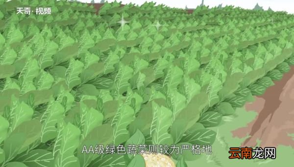 无公害蔬菜和绿色蔬菜的区别 无公害蔬菜和绿色蔬菜有什么区别