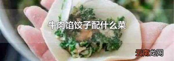 牛肉馅饺子配什么菜