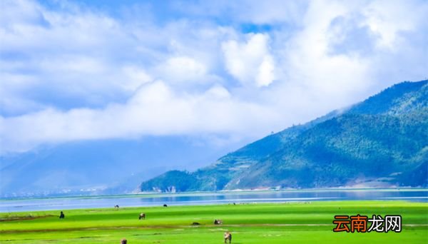 香格里拉和拉萨哪个海拔高 香格里拉和拉萨哪个海拔高啊