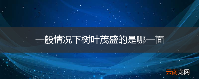 一般情况下树叶茂盛的是哪一面