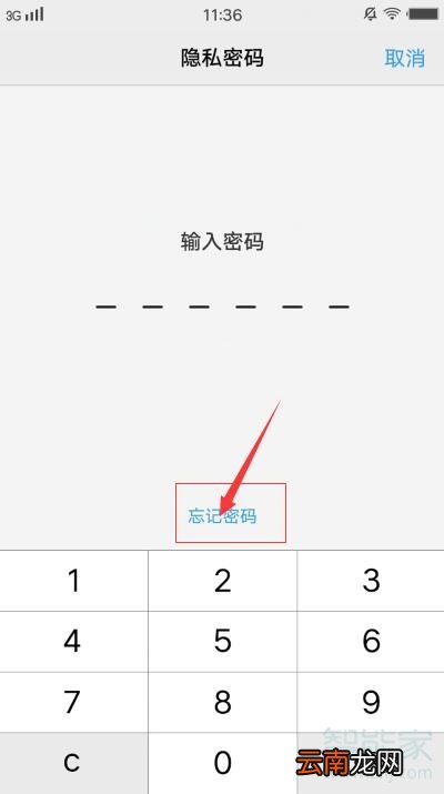 vivo隐私密码忘了怎么办