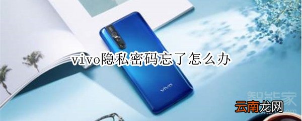 vivo隐私密码忘了怎么办