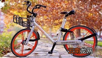 支付宝怎么用信用骑行？