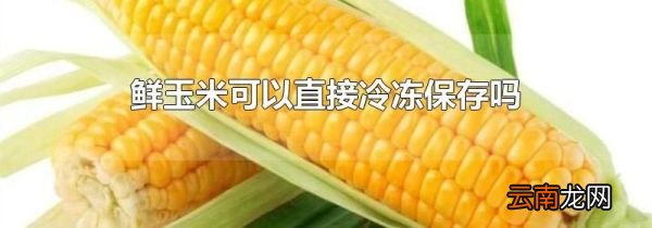 鲜玉米可以直接冷冻保存吗