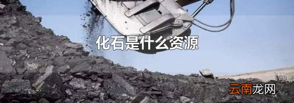 化石是什么资源