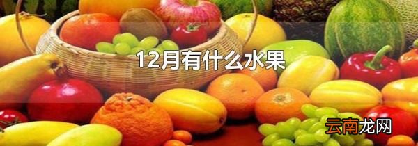 12月有什么水果