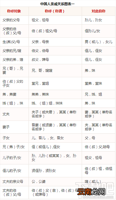 三姑六婆计算器怎么计算家属关系