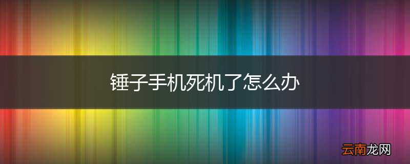 锤子手机死机了怎么办