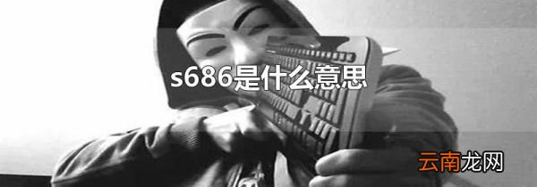 s686是什么意思