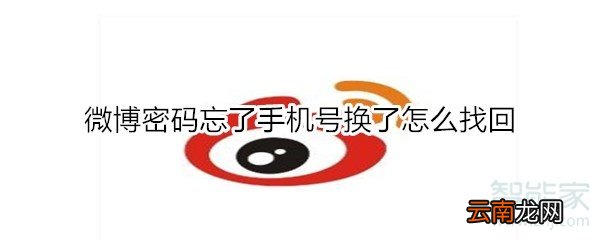 微博密码忘了手机号换了怎么找回