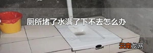 厕所堵了水满了下不去怎么办