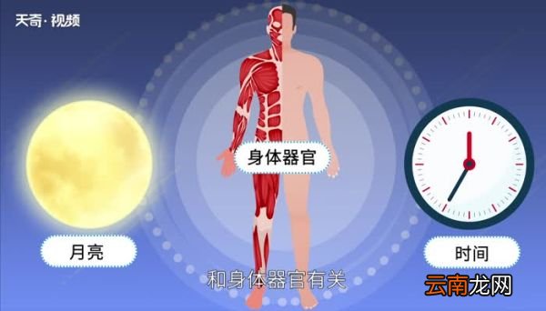 月字旁的字和什么有关 月字旁的字都和什么有关