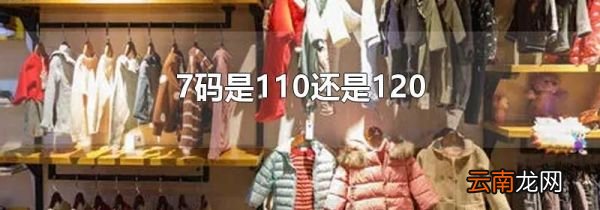 7码是110还是120
