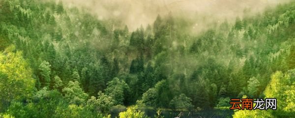 山中访友课文原文 山中访友课文的主要内容是什么
