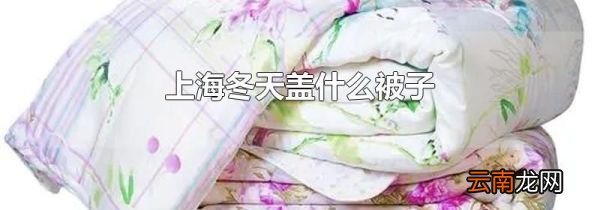 上海冬天盖什么被子