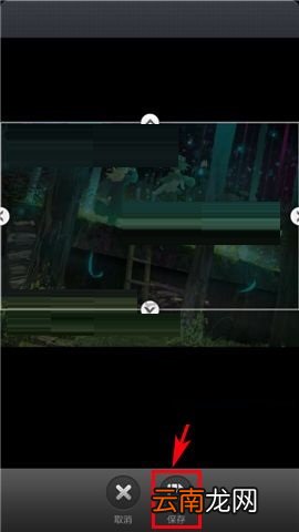 汤圆创作APP设置作品封面的图文教程