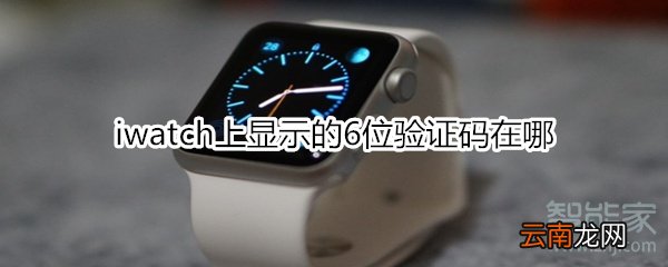 iwatch上显示的6位验证码在哪