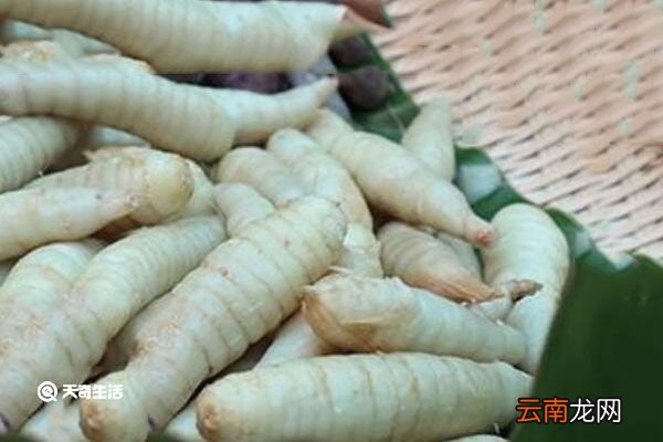 葛郁金的功效与作用 葛郁金有什么功效