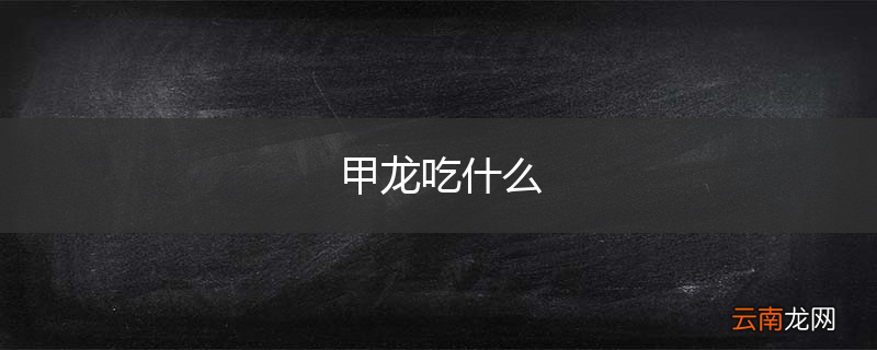 甲龙吃什么
