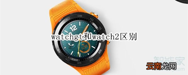 watchgt和watch2区别