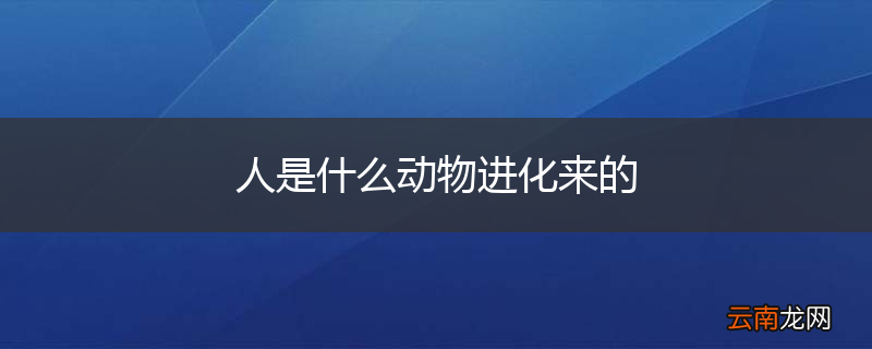 人是什么动物进化来的