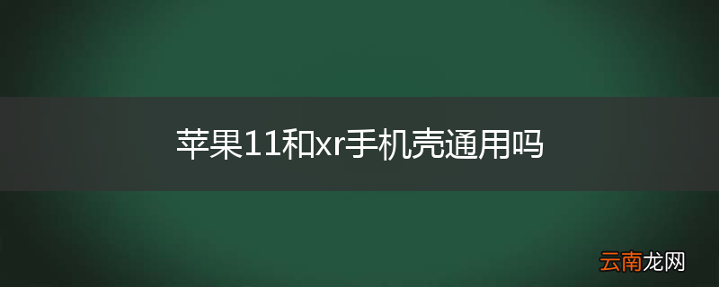 苹果11和xr手机壳通用吗