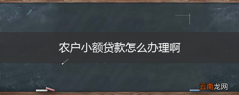 农户小额贷款怎么办理啊