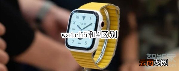 watch5和4区别