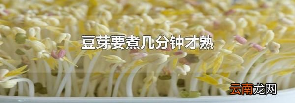 豆芽要煮几分钟才熟
