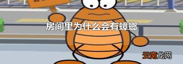 房间里为什么会有蟑螂