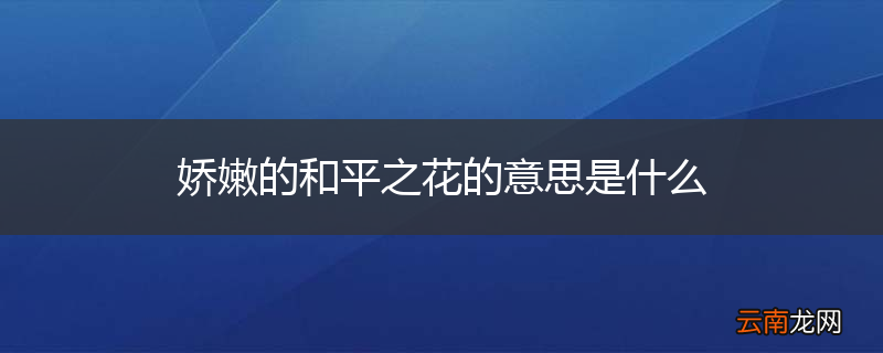 娇嫩的和平之花的意思是什么