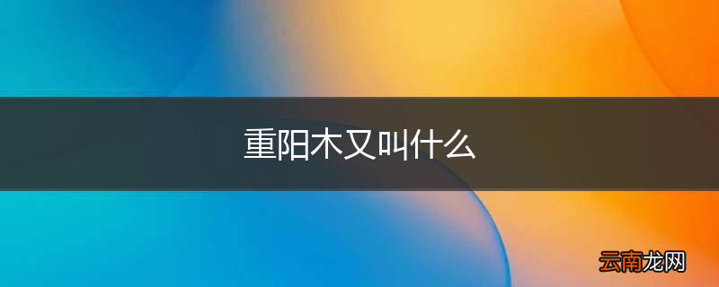 重阳木又叫什么