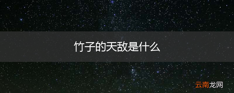 竹子的天敌是什么