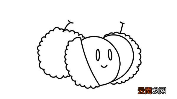 水果简笔画的画法水果简笔画怎么画