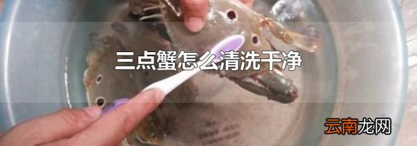 三点蟹怎么清洗干净