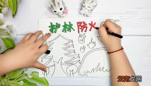 护林防火手抄报五年级 护林防火手抄报五年级画法