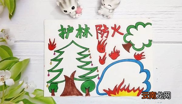护林防火手抄报五年级 护林防火手抄报五年级画法