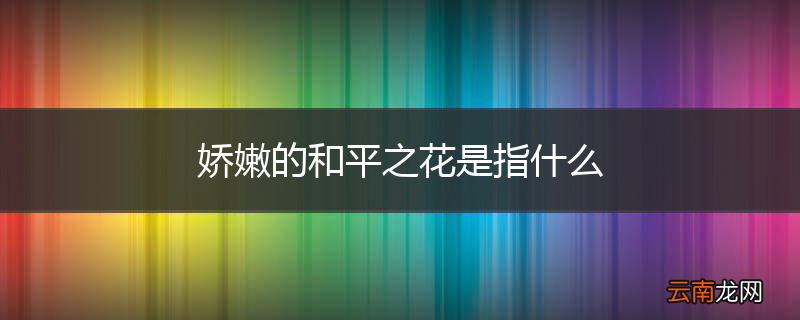 娇嫩的和平之花是指什么